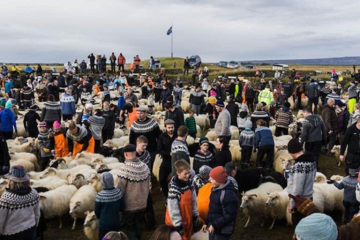 Lopapeysa: 1930-luvun Eskimo-neuleesta Islannin kansalliseksi symboliksi